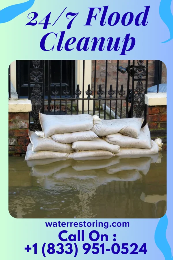 24/7 Flood Cleanup in Leesburg, OH