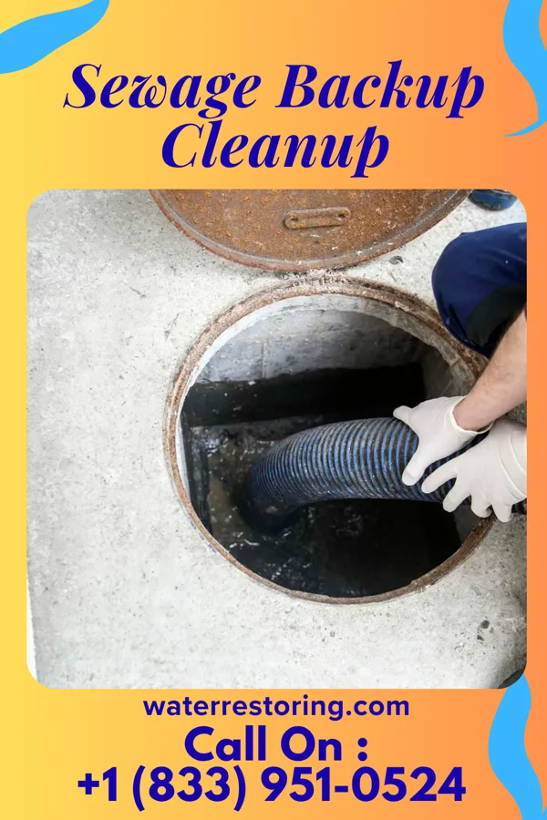 Sewage Backup Cleanup in Leesburg, OH