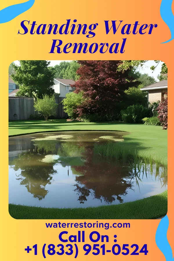 Standing Water Removal in Leesburg, OH